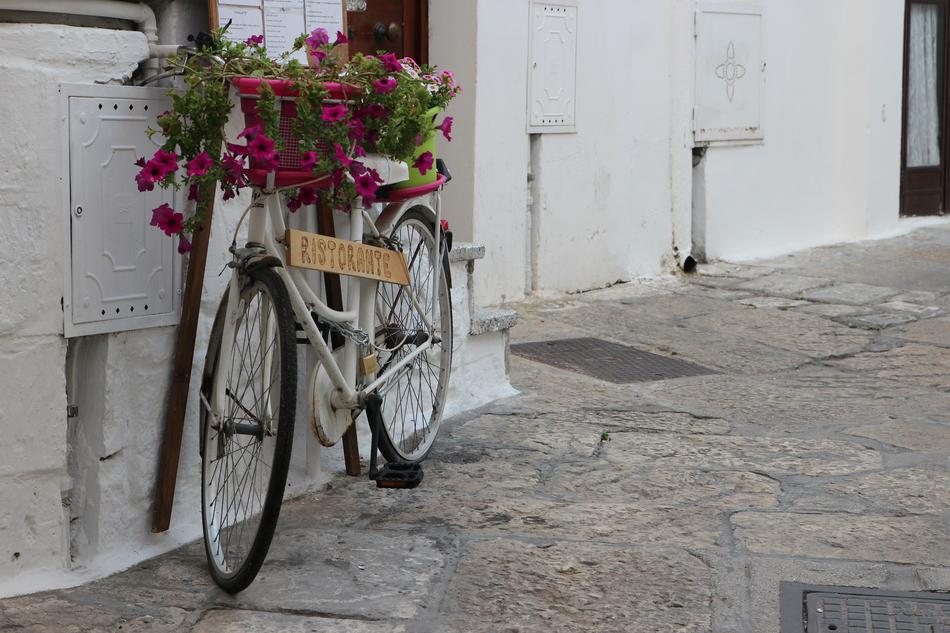 Bicycle Restaurant Flowers