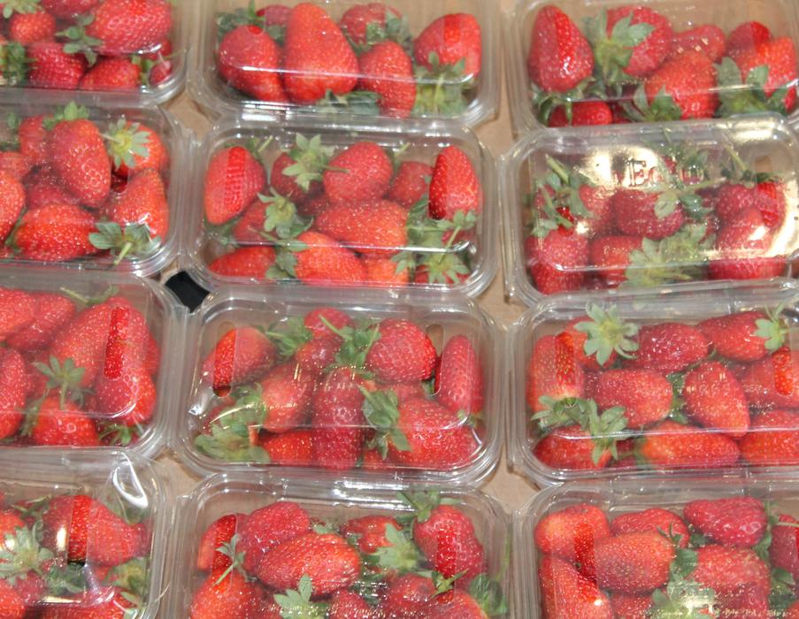 Food Fresh Fruit