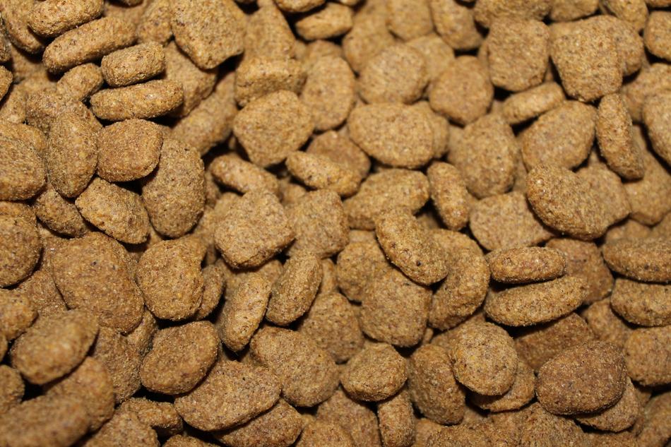 Kibble Dog Food Pet