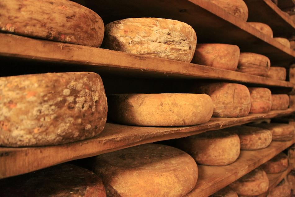 Cheese Wheel Truckle