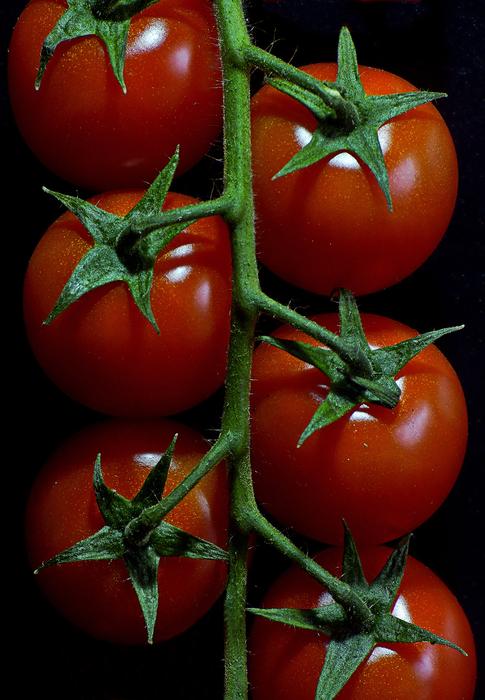 Tomatoes Vegetables Red