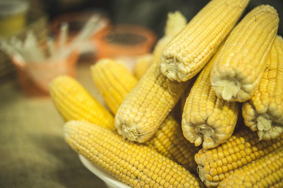 Corn Jerk Party Festa