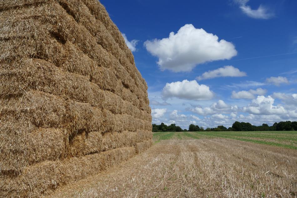 Hay Bale Straw