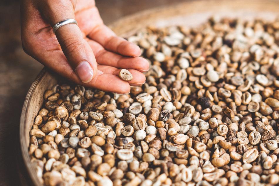 Coffee Bean Hand