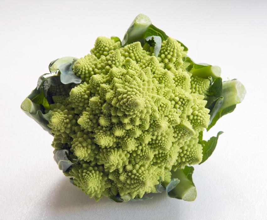 Romanesca Cauliflower Vibrant