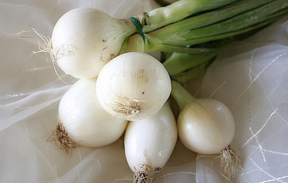 Onion Vegetable Power