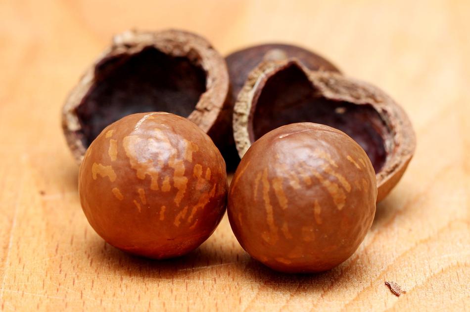 Australian nut Broken