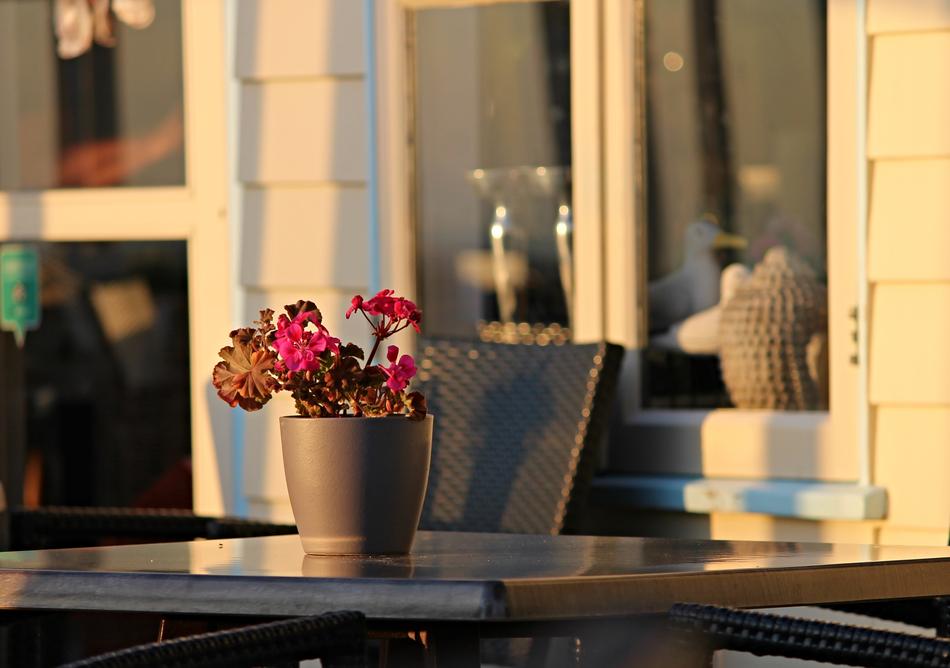 Evening Light Beach Bar Decoration
