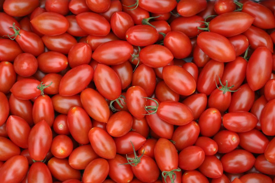 Trilly Tomatoes Salad