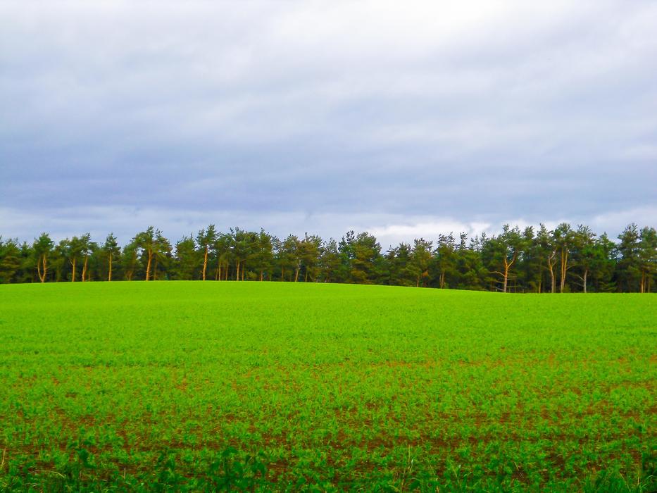 Farm Field Dunkeld Scotland landscape