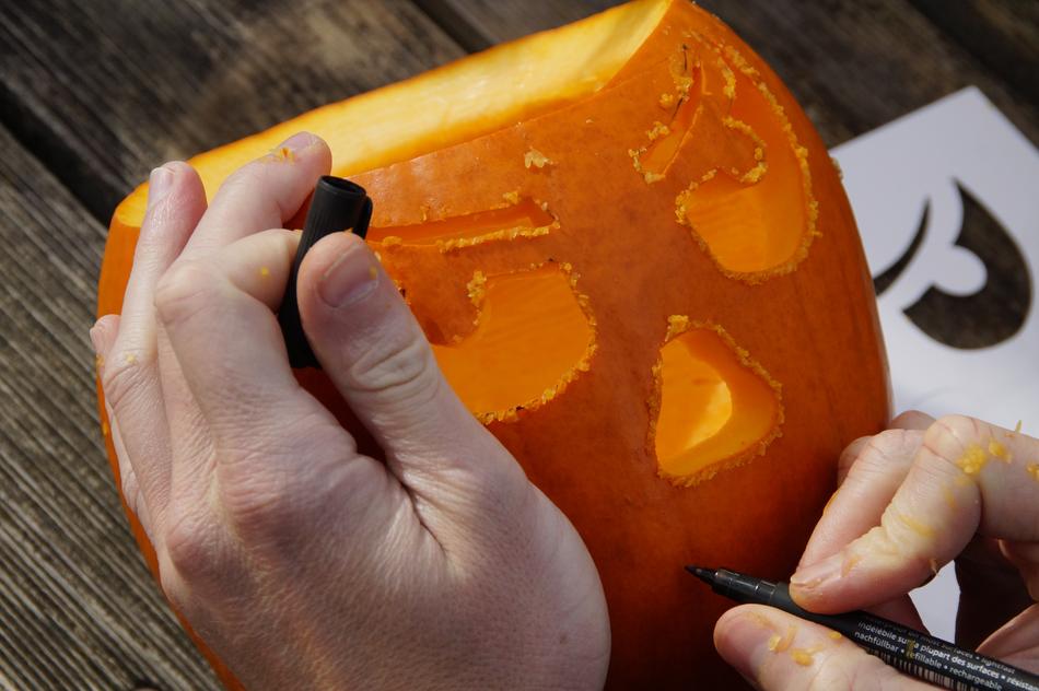 Pumpkin Halloween Autumn