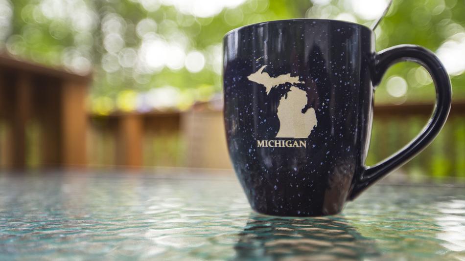 Mug Travel Michigan