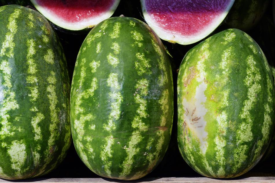 Watermelon Choose Fruit