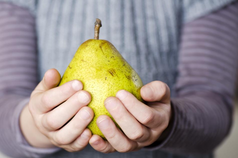 Fruit Vitamins Power Supply