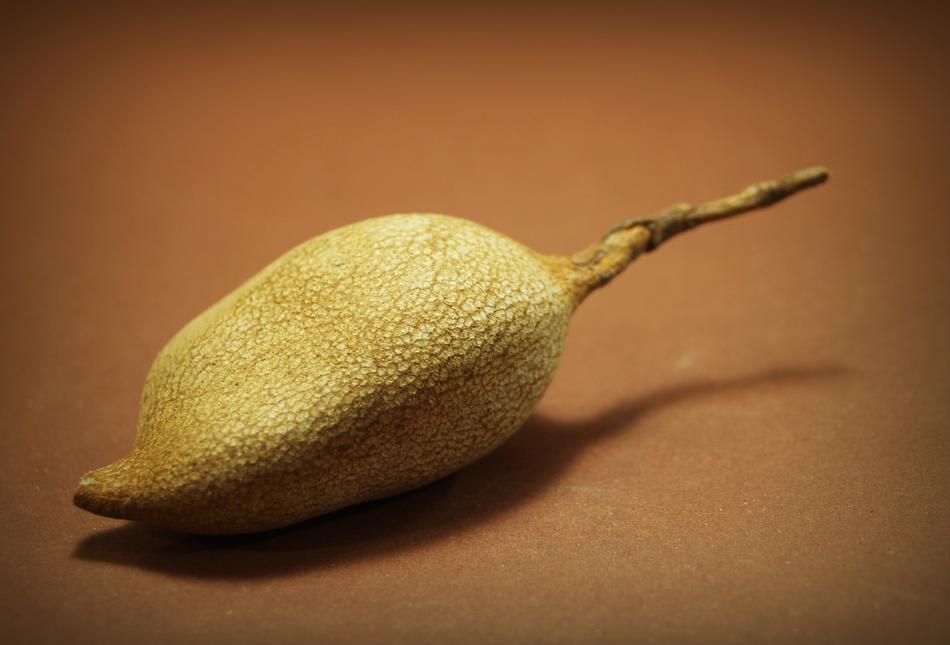 tropical sweet fruit