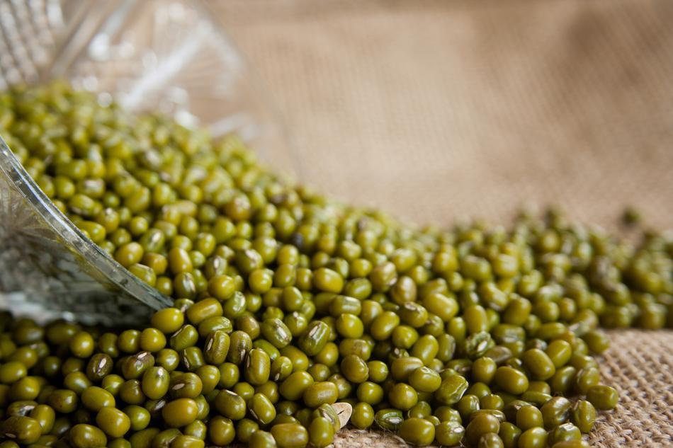 Mung Beans Vigna Radiata Moong