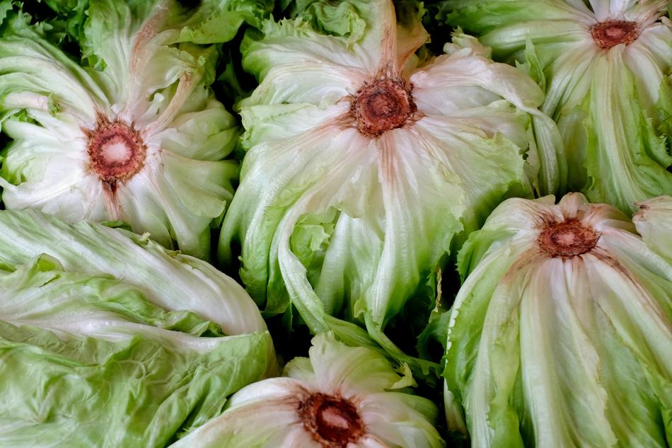Salad Heads Food