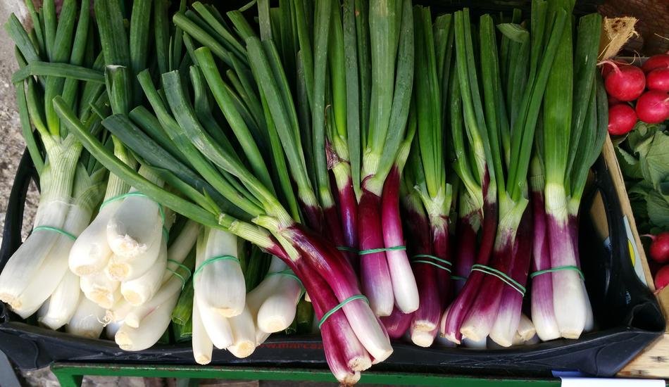 Vegetables Plants in market