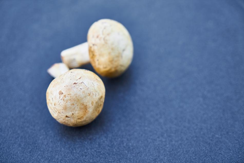 Mushroom Food Vegetable