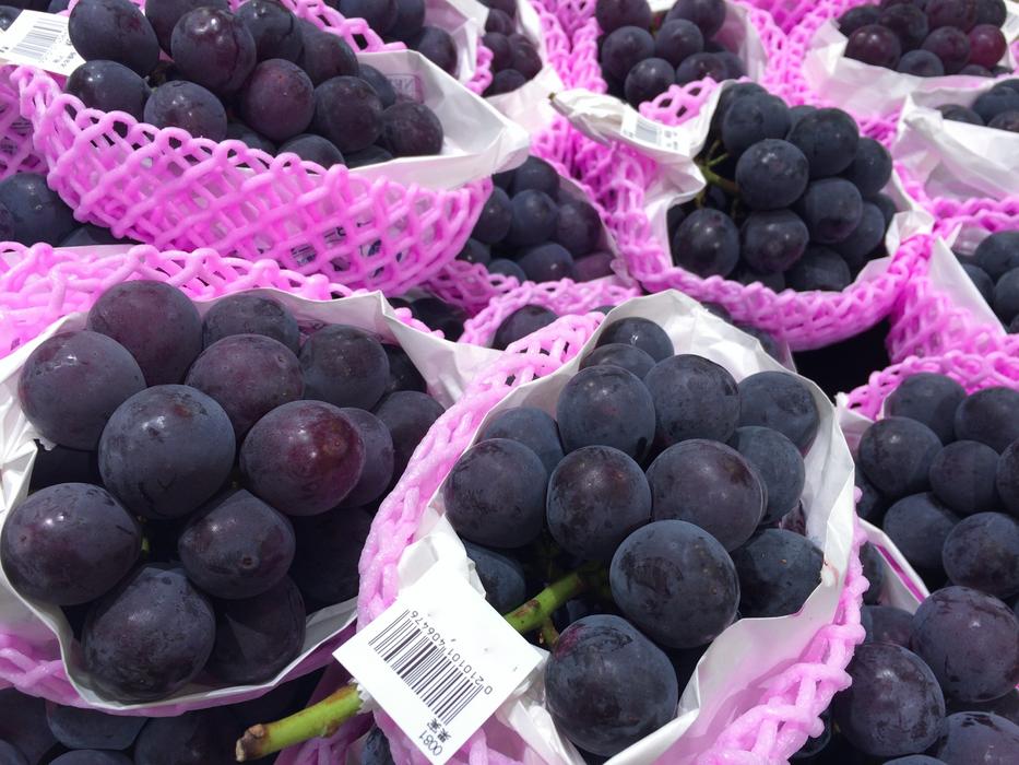 The Grapes Gigantic Peak Grape