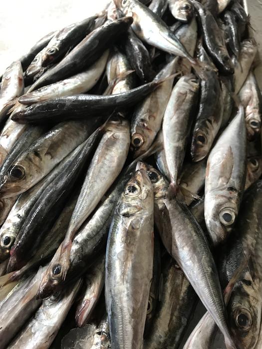 Fish Market S