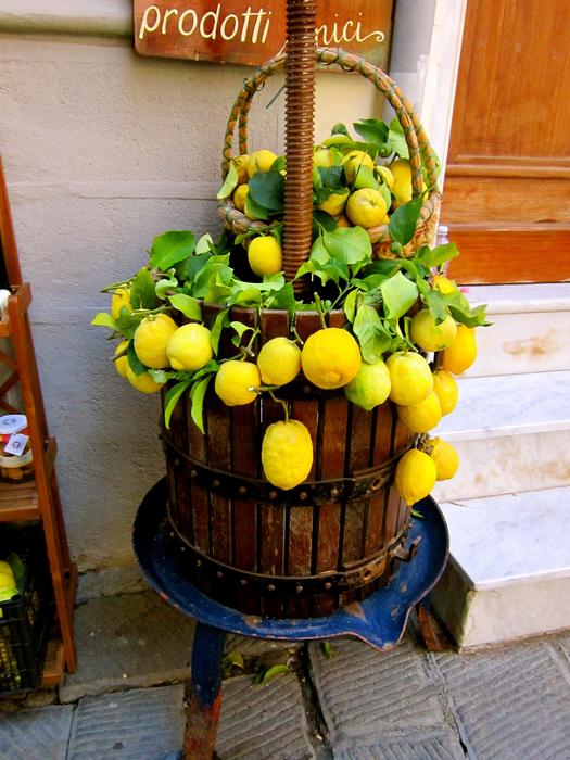Lemon tree in the yard