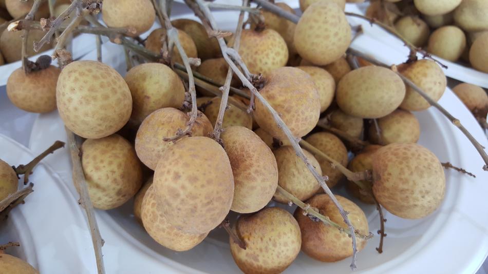 Lfruits Food Sweet