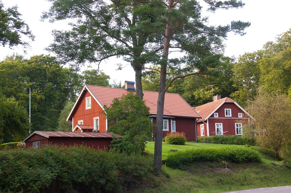 Forest House