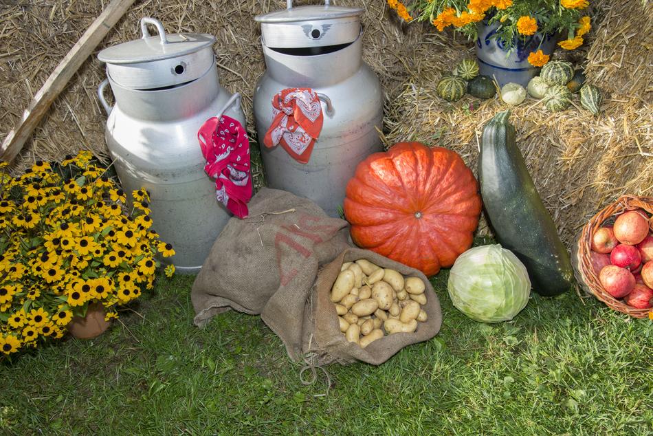 Thanksgiving decoration outdoor, harvest