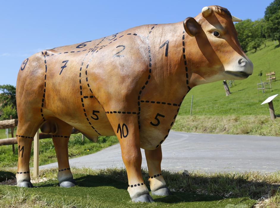 Beef Meat Cattle