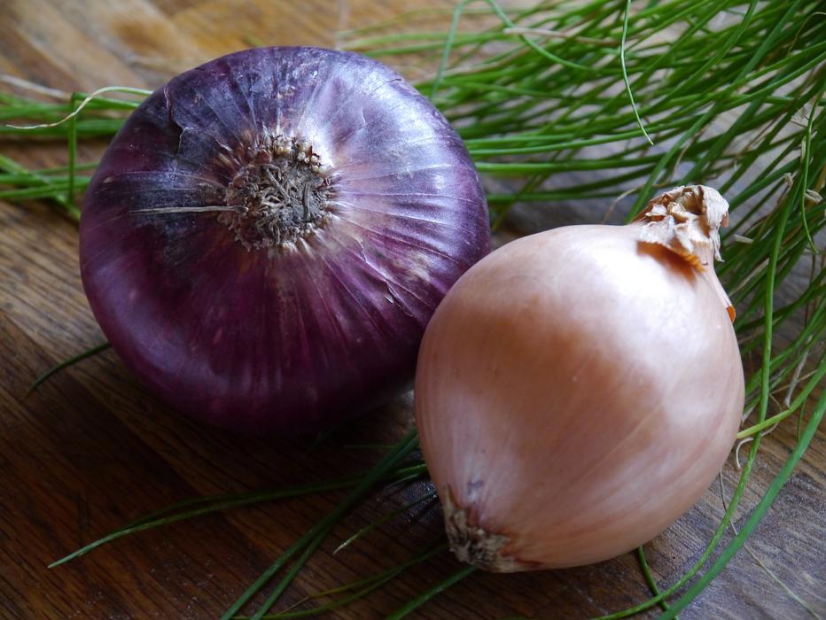 Onion Food Vegetable