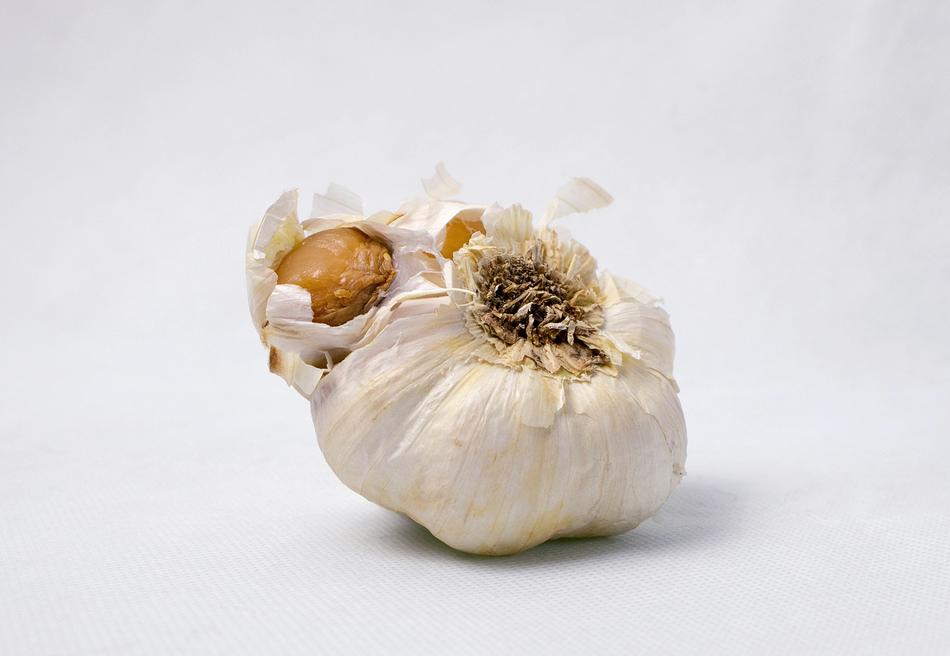 Garlic Food Vegetables