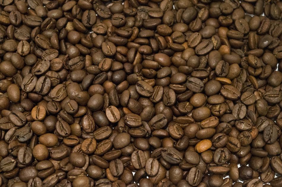 Coffee Bean Brown
