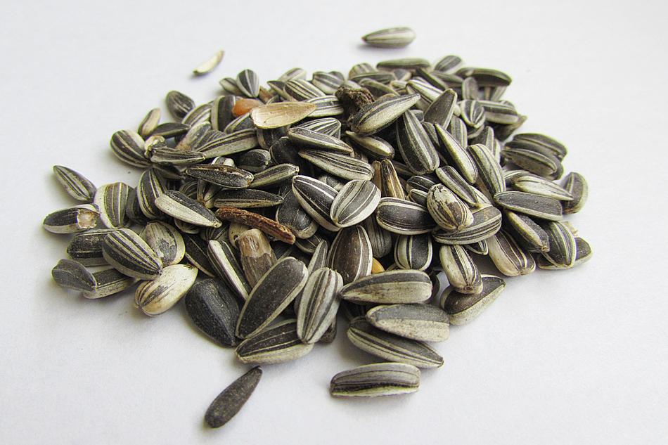 Sunflower Seeds Shell Cores