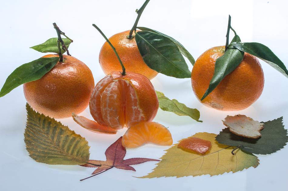 Still Life Tangerines