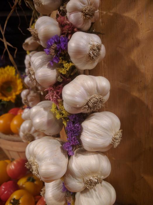 Garlic Vegetables Group