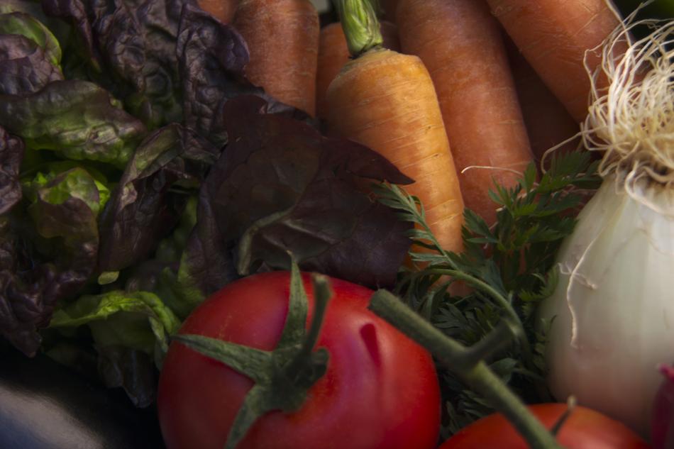 Tomato Lettuce Carrots group