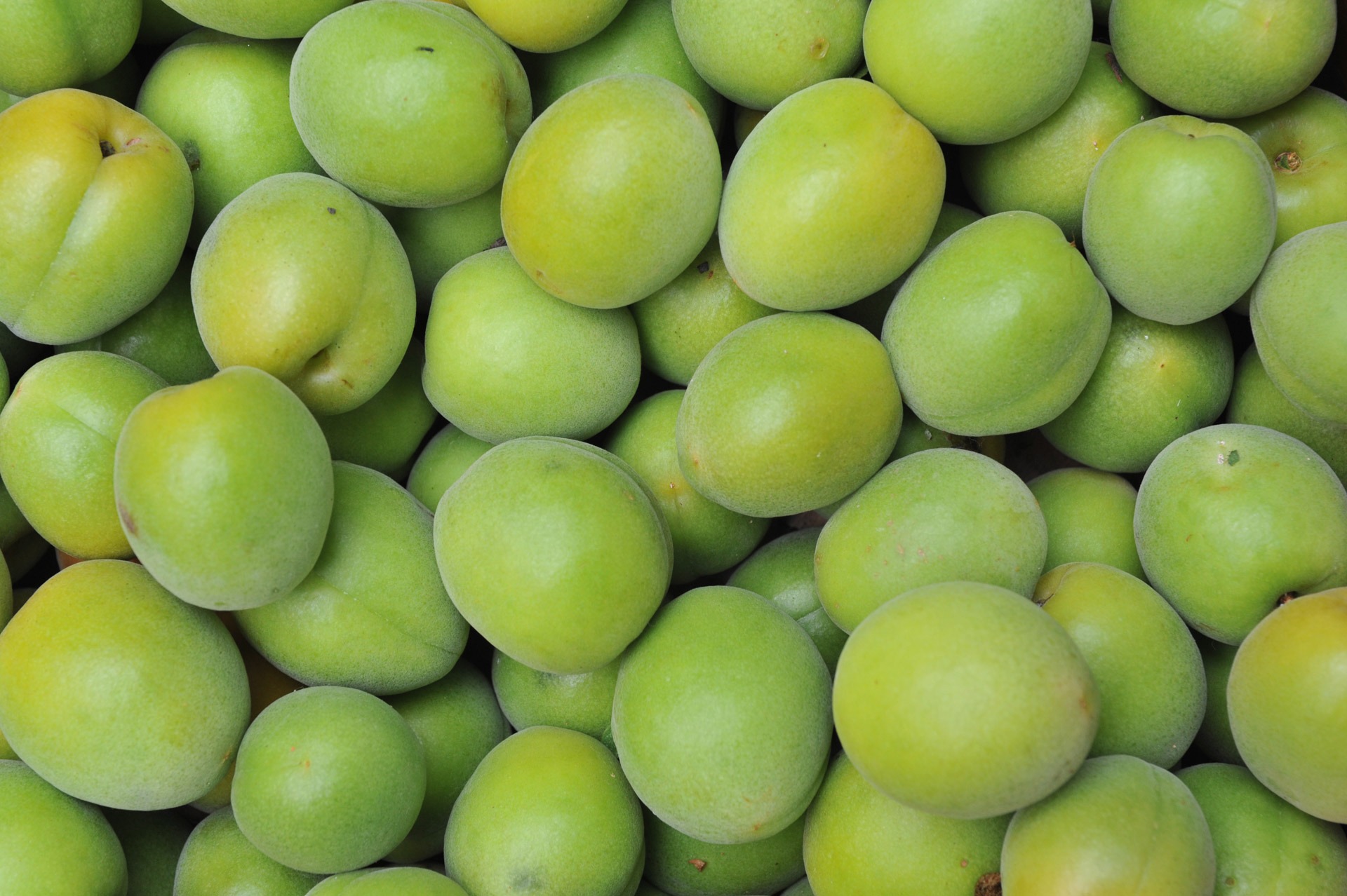 Зеленые неспелые абрикосы