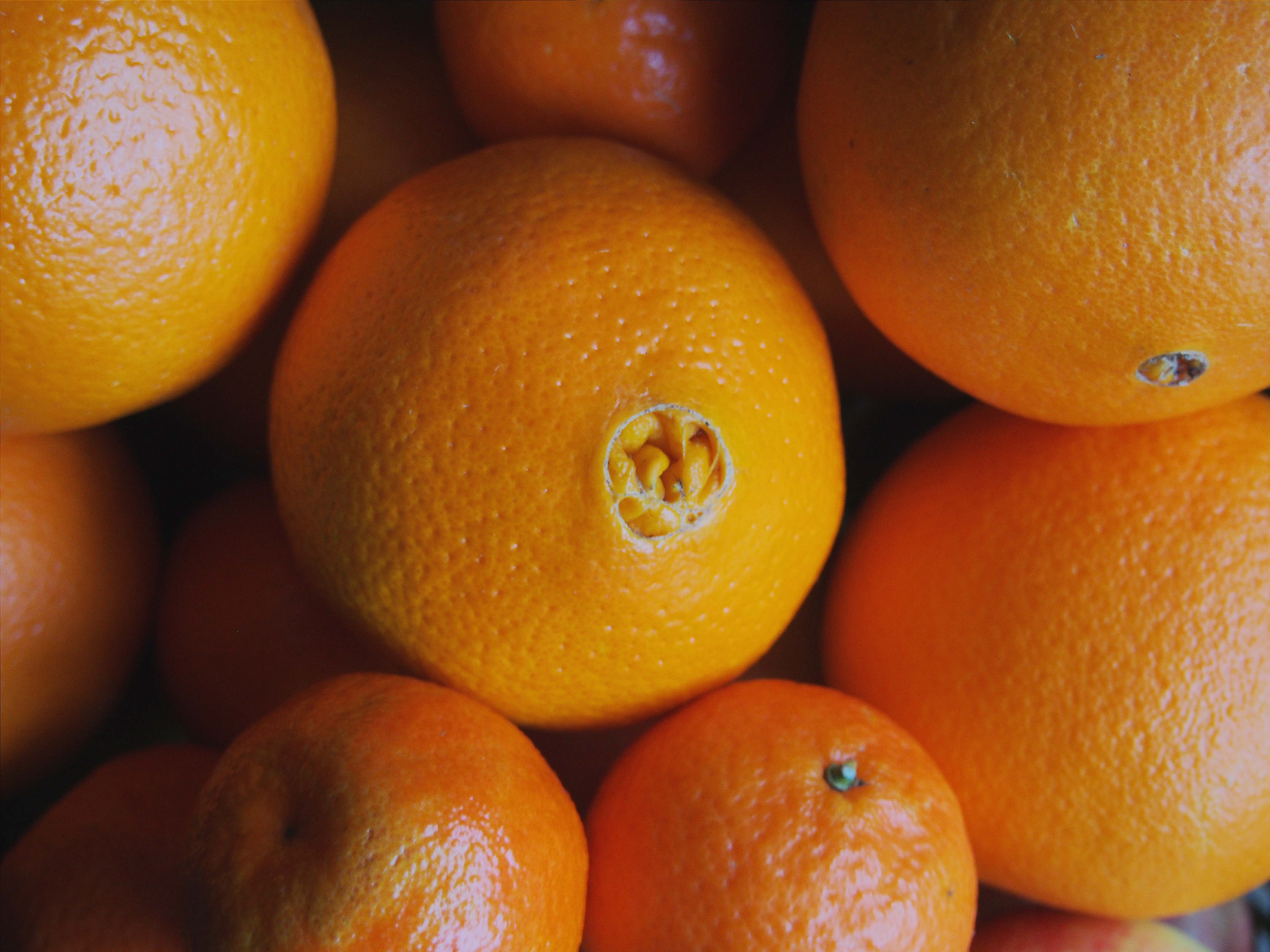 Orange es. Пупочные апельсины. Апельсин сорт оранж. Апельсины с пупком. Апельсины крупные.