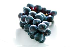 Grapes Blue Cluster