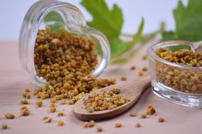 Bee Pollen Nature