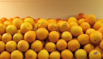 Orange Oranges Fruits