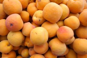 Apricots Fruit Orange