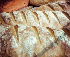 Bread Food Bakery