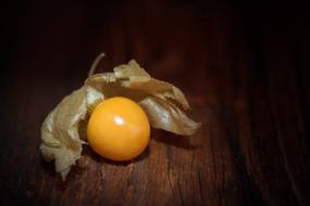 Physalis Peruviana Cape gooseberry macro