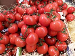 Tomatoes Vegetables Italian Market