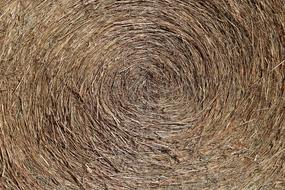 Hay Bale Texture Pattern Dried