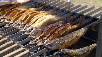 grilled sea fish