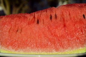 Melon Watermelon Fruit