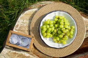 green grapes on plate, picnic on grass